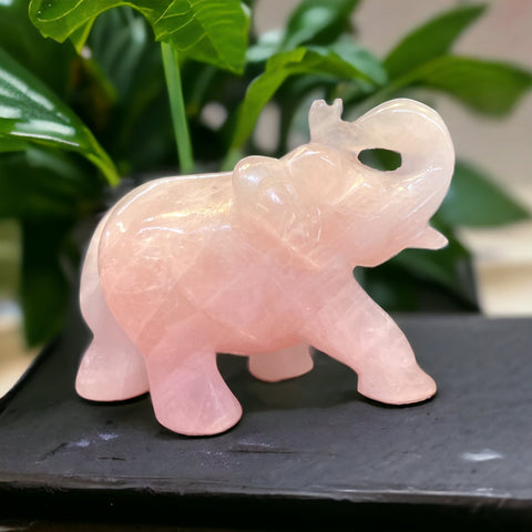 Rose Quartz Elephant For Loving Energies Rose Quartz Elephant For Loving Energies