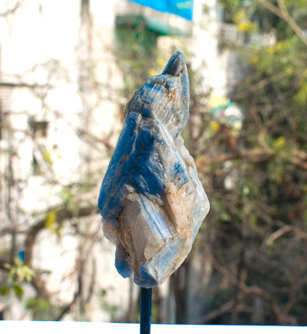 Blue Kyanite Raw CLuster On a stand Blue Kyanite Raw CLuster On a stand