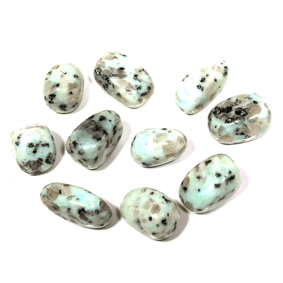 Kiwi Jasper Tumbles