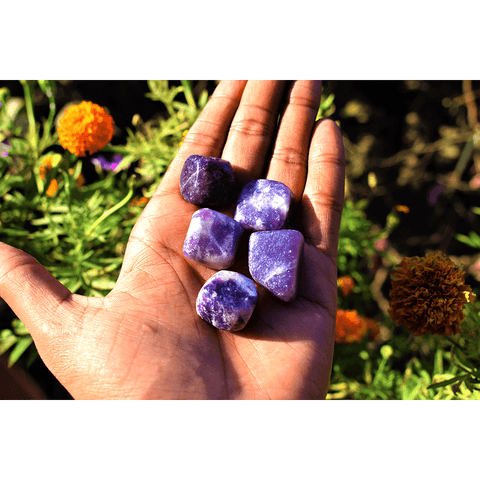 Lepidolite Tumbles Lepidolite Tumbles