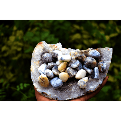 Merlinite Tumbles ( Dendritic agate )