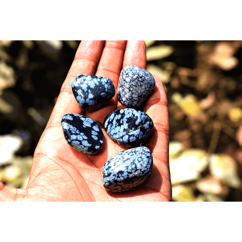 Snowflake Obsidian Tumbles Snowflake Obsidian Tumbles