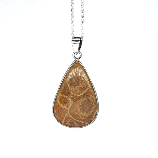 Fossil coral stone  Pure Silver talisman 1080