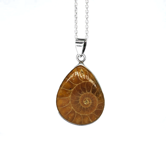 Ammonite Pure Silver Necklace 1080