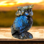 Blue Owl ~ Labradorite healing crystal sculpture