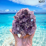 Uruguay Amethyst Geodes