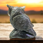 Owl in labradorite Gemstone healing crystals