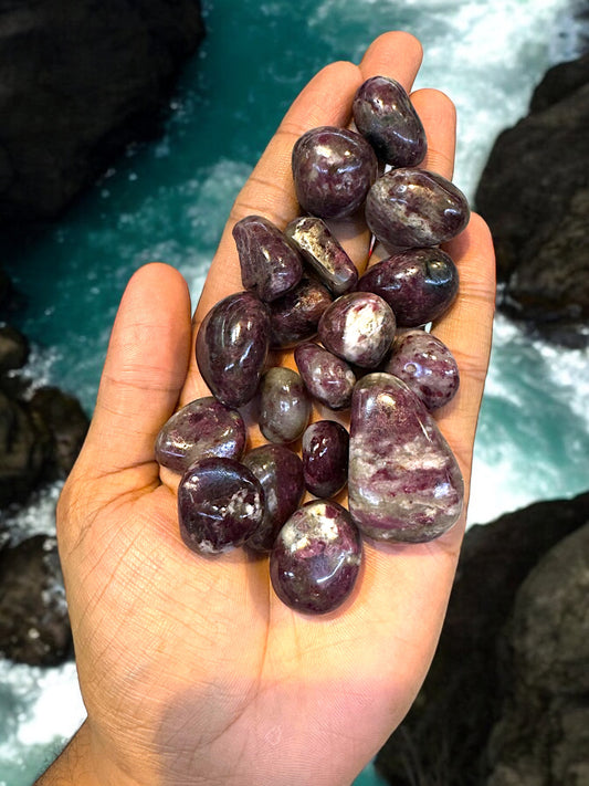 Unicorn stone Tumbles ( Limited Edition ) 1800