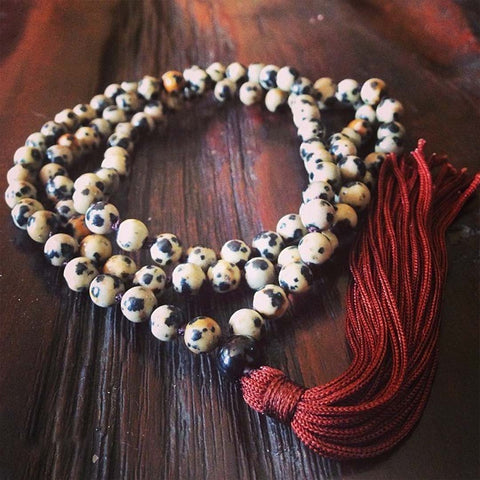 Dalmatian Jasper Jaap Mala