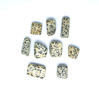 Dalmatian Jasper Tumbles