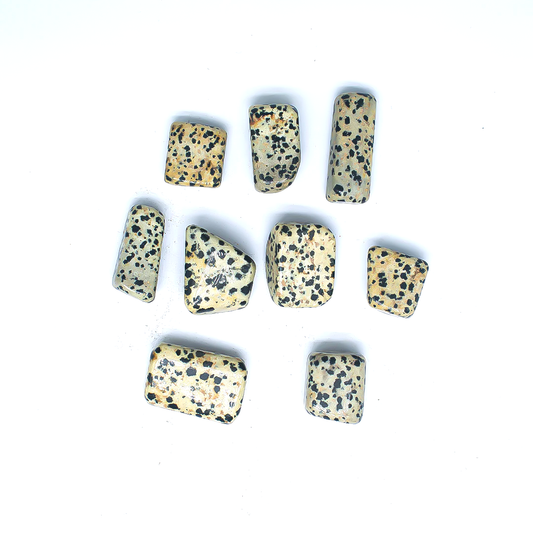 Dalmatian Jasper Tumbles 1080
