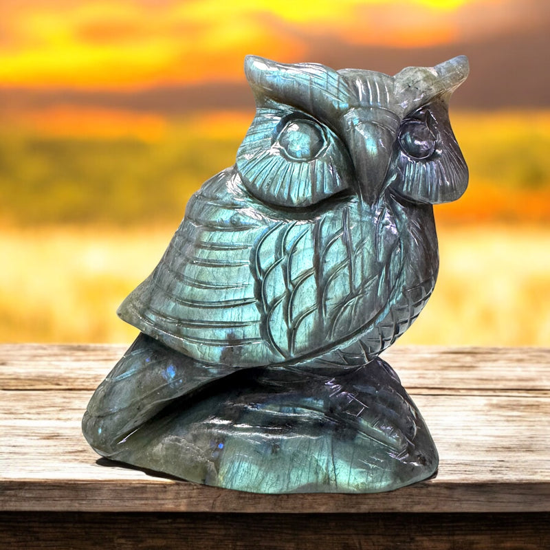 Owl in labradorite Gemstone healing crystals