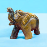 Tiger’s eye Elephant