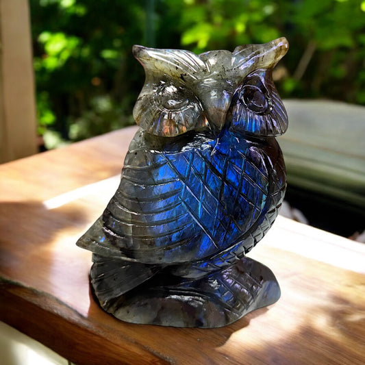 Blue Owl ~ Labradorite healing crystal sculpture 2400