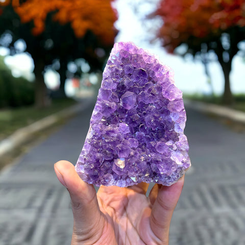 Uruguay Amethyst Geodes