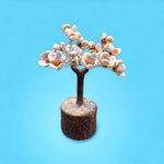 Gomti Chakra & Rudraksha Tree