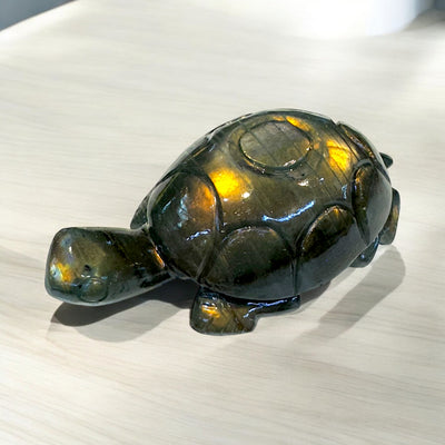 Tortoise ~  Good Luck