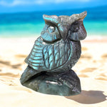 Owl in labradorite Gemstone healing crystals
