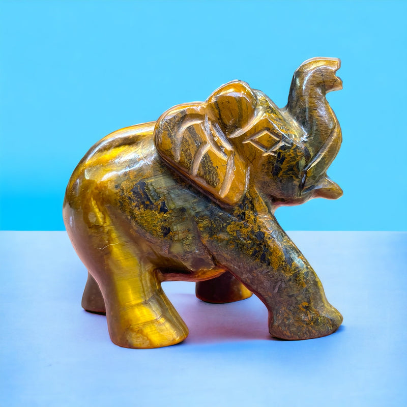 Tiger’s eye Elephant