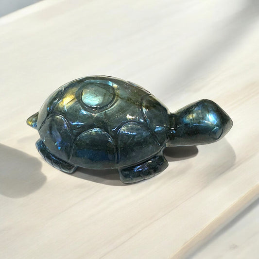 Labrodorite Tortoise 2400