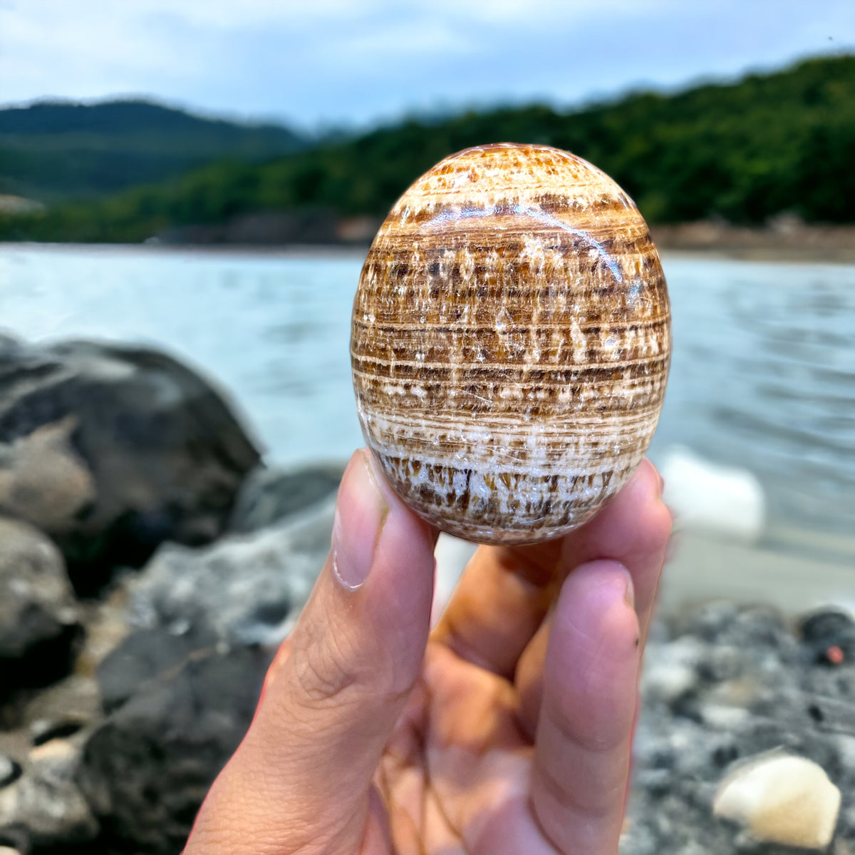 Brown Aragonite Palm Stone