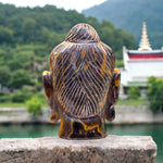 Tiger eye Budha Head