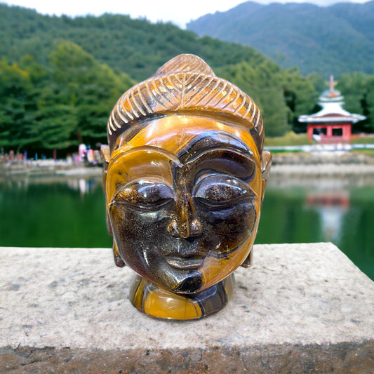 Tiger eye Budha Head 1717