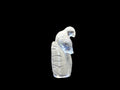 Parrot on rock Clear quartz mini Figure