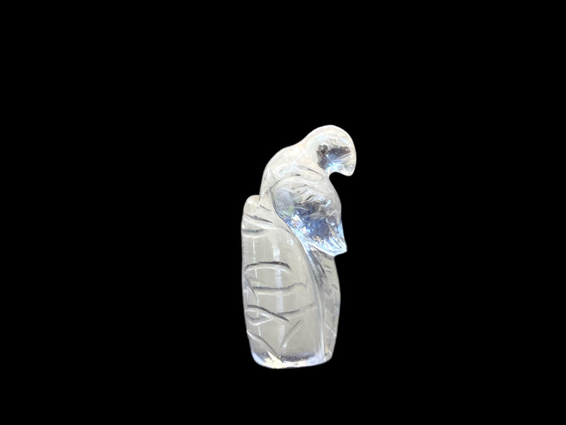 Parrot on rock Clear quartz mini Figure