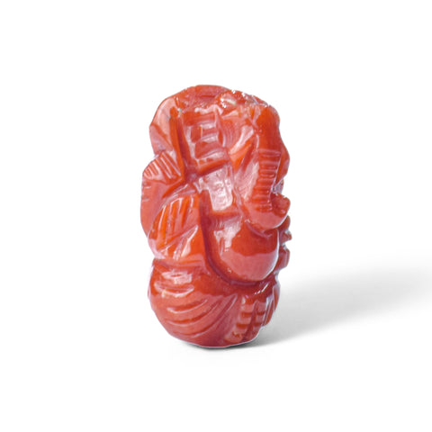 Ganesh ji ~ Carved In natural Coral 6.95 Carats