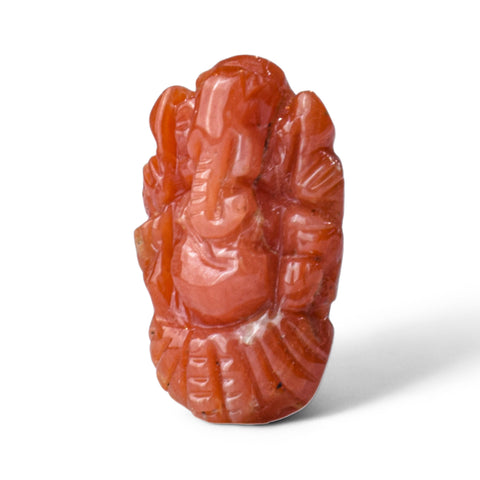 Ganesh ji ~ Natural Red Coral 4.20 carats ( moonga )
