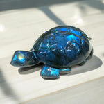 Blue Flash Labradorite Turtle