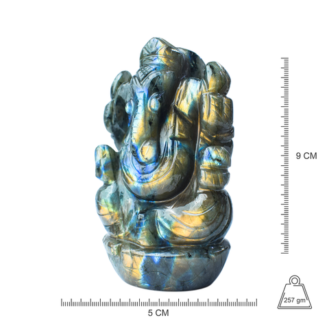 Ganesha  -Labradorite Full Flash