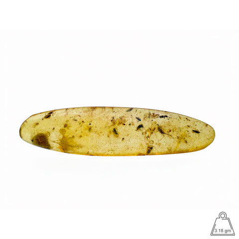 Natural Amber with Insects