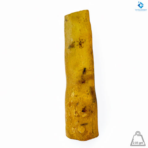 Natural Amber with Insects