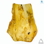 Natural Amber with Insects