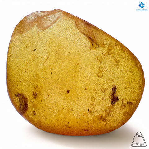 Natural Amber with Insects