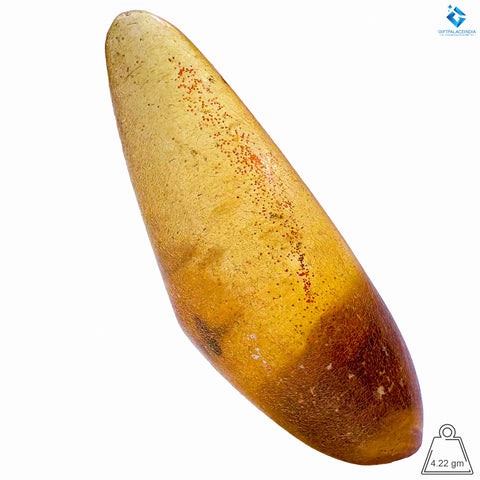 Natural Amber with Insects