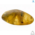 Natural Amber with Insects