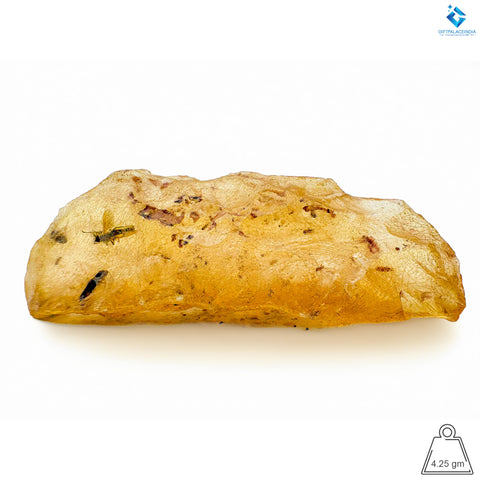 Natural Amber with Insects