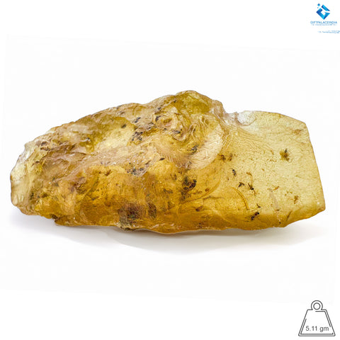 Natural Amber with Insects