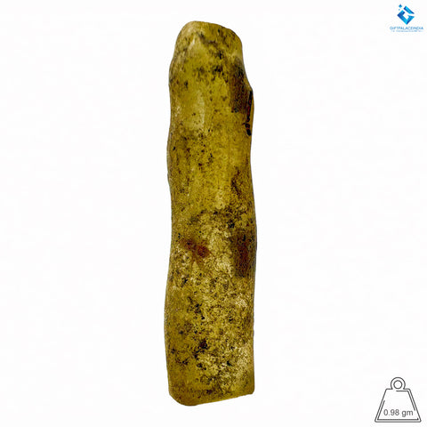 Natural Amber with Insects