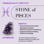 Pisces Necklace