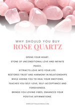 Tortoise ~ Rose Quartz 202 grams