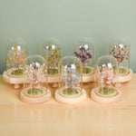 Mini Gemstone Trees in Glass Dome