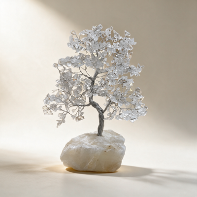 Clear quartz crystal tree on an ivory studio background, 11 inches tall on a raw natural quartz base