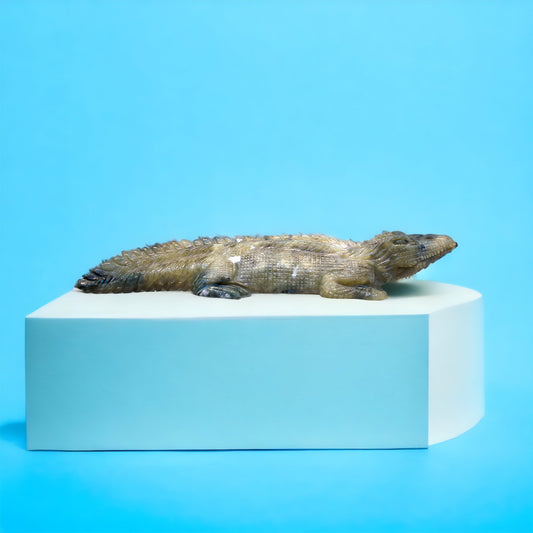 Cat's Eye Crocodile ( Very Rare ) 1447