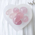 Rose Quartz Tumbles ( Love & Harmony  )