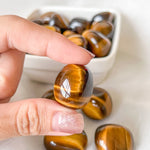 Tiger eye Tumbles