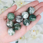 Tree Agate Mini Spheres